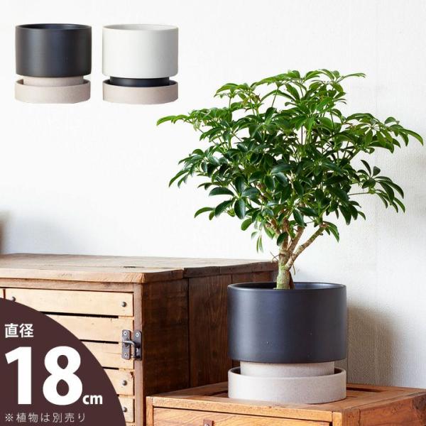 鉢 植木鉢 陶器 おしゃれ 室内 モダン 個性的 鉢カバー 重量感あり