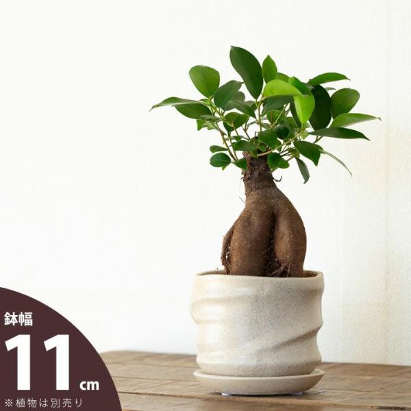 作家鉢 超高級鉢 植物含まない 鉢 植木鉢 おしゃれ 室内 陶器鉢「作家もの」に似た雰囲気。それでいて