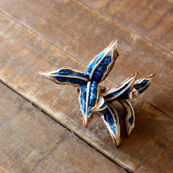 【お届け内容】旅人の木の種×1商品ガイド【サイズ目安】旅人の木のタネの大きさは、およそ10〜15cm前後です。自然のものにつき、１つ１つ個体差があります。全体高さ:10cm前後全体の幅:10〜15cm前後【置き場所について】「インテリア」と...