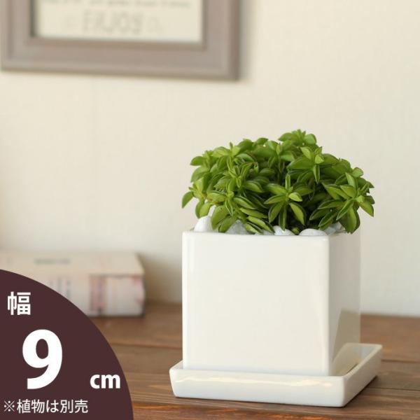 e-8783_hati-20