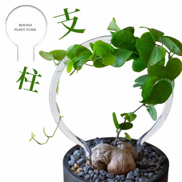植物を立体的に飾る 丸形・透明支柱（クリップ付き）ガーデン雑貨 園芸支柱 室内 観葉植物