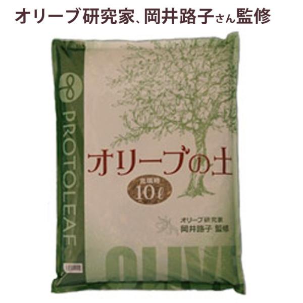 I[u̓y10bg×1܁yAJ@py@|{yz