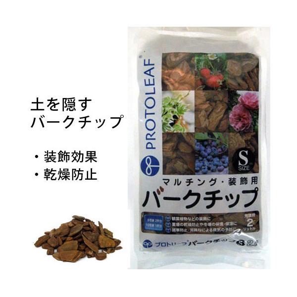 o[N`bvi2bgjyo[N̂PЂ15`30mmʂ̔rIȃ`bvłBzS̃vg[tЂ̐iłB