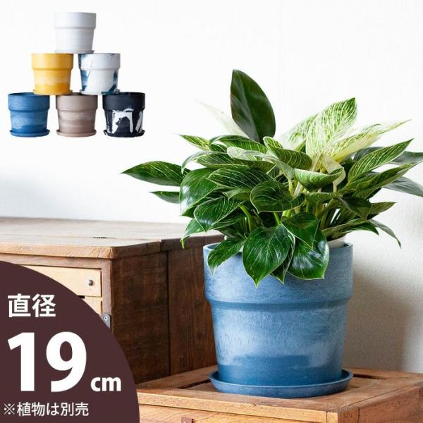 おしゃれ・カラフル・鉢カバー“軽い、可愛い、植木鉢。M（19cm)” e-花屋さん