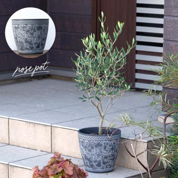 人気のローズ柄！外の鉢植えを可愛くする植木鉢（直径20cm）屋外植物 室内 植替え おしゃれ 玄関 ベランダ 庭