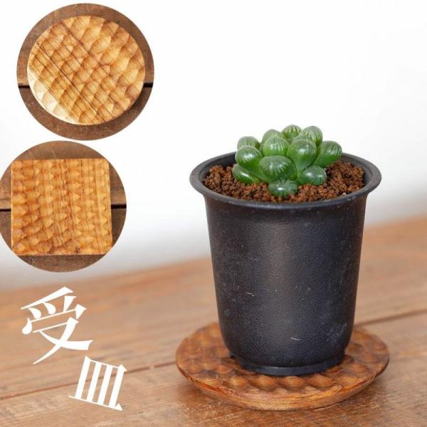 インテリア 植木鉢 受け皿 植え替え 方法 器 屋内 屋外 置台 おしゃれ 面白い 飾る 鉢 カバー 簡単 外用 プレゼント 種類 一覧 サイズ 丈夫 セット 育成 台 卓上 小さい 小さめ テーブル 手入れ 陶器鉢 名前一覧 肥料 日陰 ...