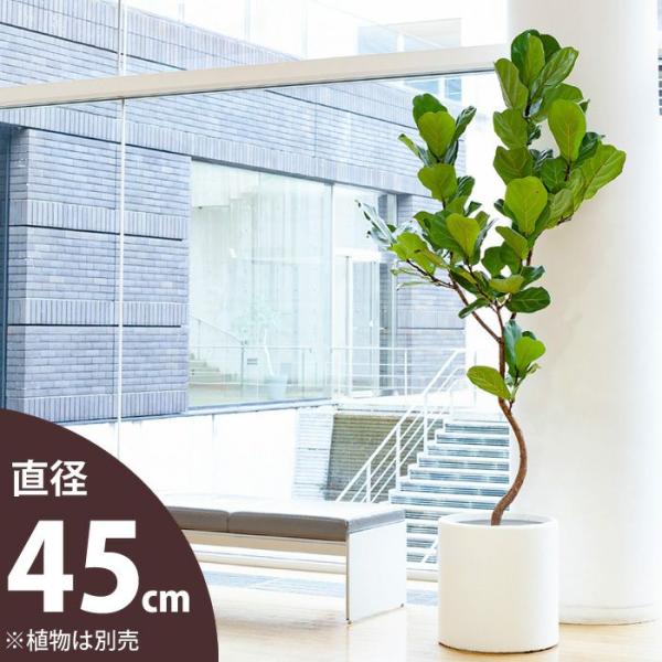 鉢 植木鉢 室内 大型 鉢カバー おしゃれ 大型シリンダー植木鉢〈45cm