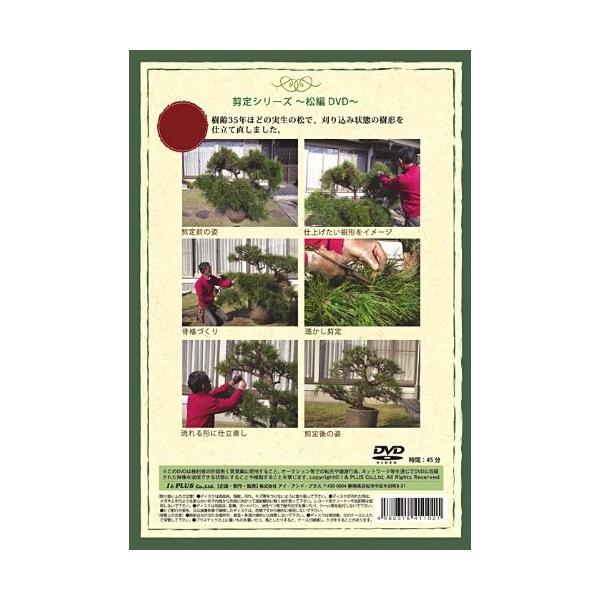 Dvd 玉崎弘志の松の剪定と仕立て直し教室 メール便発送可 Buyee 日本代购平台 产品购物网站大全 Buyee一站式代购bot Online