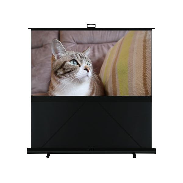 床置きタイプスクリーン キクチ GFP-80AFW【送料無料】 (GFP80AFW) KIKUCHI（キクチ） 【GFP-80AFW】キクチ科学 KIKUCH 床置きモバイル