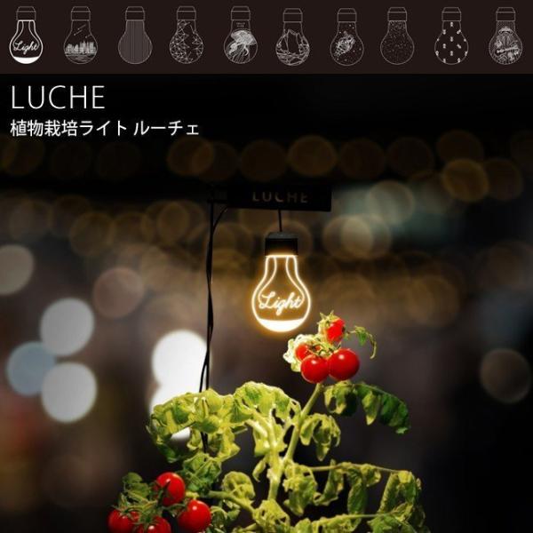 Led ライト 植物 みんな探してる人気モノ Led ライト 植物 インテリア 寝具 収納