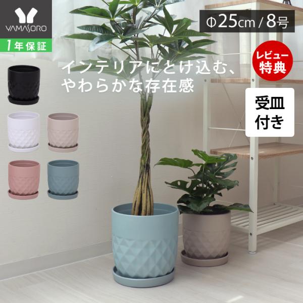 e-alamode-ys_60-0010