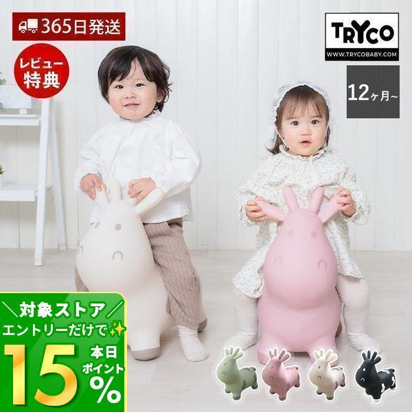 1歳から楽しめるインドア・アウトドア対応の知育バランストイ「スキッピー」跳んだり乗ったりして体幹とバランス感覚を自然に育みます。安全基準CEに合格したおもちゃでママたちも安心です。【サイズ】(約)横21×奥行47×高さ46(cm)【重量】本...