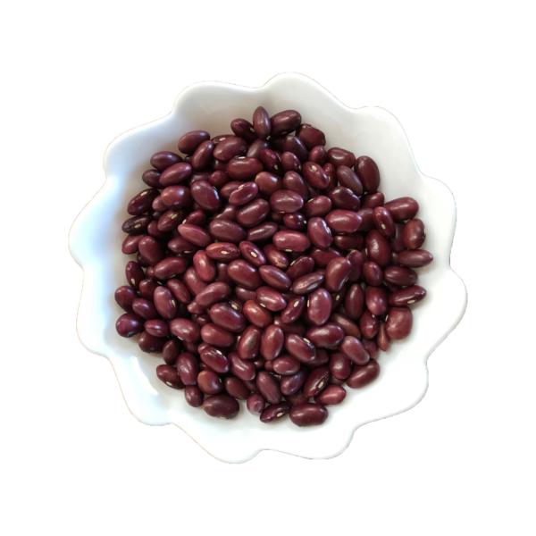 kCY 1kg ߘa6NY y񂱂̓z