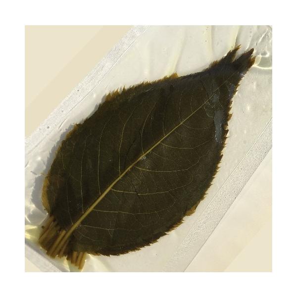 桜葉　茶色　２０枚です桜餅には絶対に欠かせないアイテムです♪道明寺粉を使った関西風、小麦粉、白玉粉を使った関東風の桜餅…桜葉の色と香りが桜餅のおいしさを一層引き立てます。夏は、くず桜にもご利用ください。塩漬けですので水洗いをしてお使い下さい