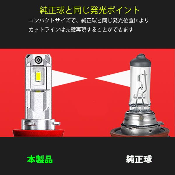 e-auto-fun-store_lm-m6x-hb3_1_d_20250410170348