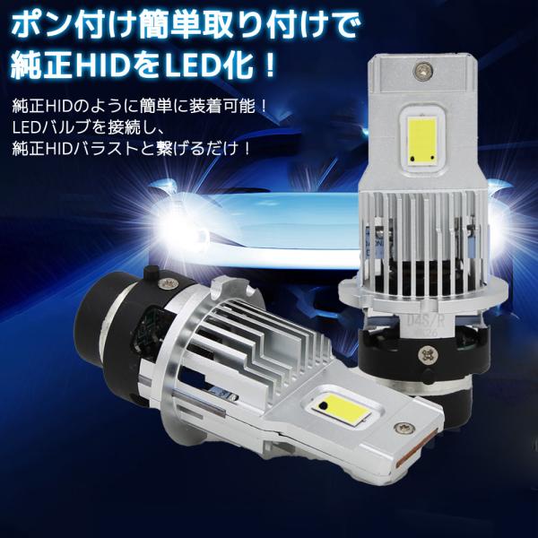 e-auto-fun-store_lm-m80-d2_1_d_20241014161653