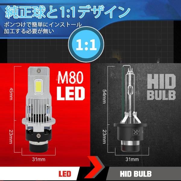 e-auto-fun-store_lm-m80-d2_2_d_20241014161657