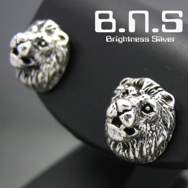 e-bns_svpias475