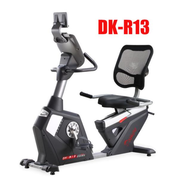 リカンベントバイクDK-R13★在庫僅かです。次回2月6日入荷予定準業務用は電源が必要ない為、レイアウトフリーで設置できます。身長概ね150cmから対応可能です。デイサービス様やリハビリ施設様におススメです。☆ポイント5倍☆送料無料（沖縄・...