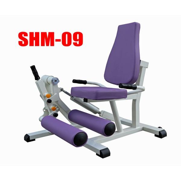 高齢者用油圧式リハビリ器具　SHM-09 レッグエクステンション　デイサービス機能訓練に　往復抵抗