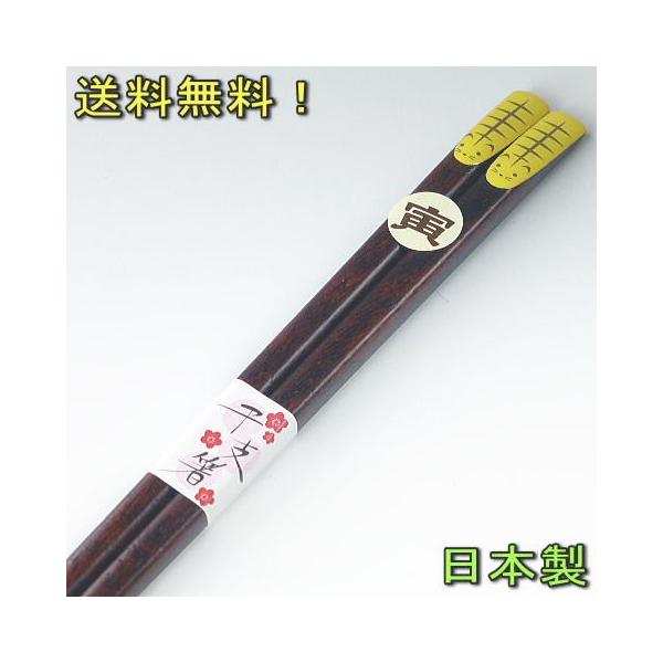 x \x V󊱎x  22.5cm 102008  ͂  v[g Mtg  j N |CgŔ