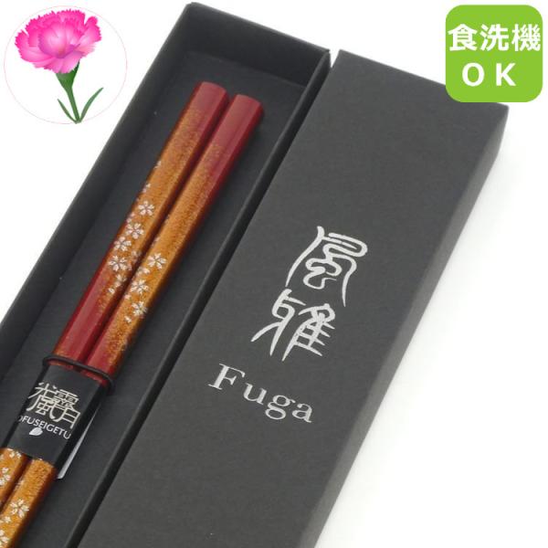  Zbg v[g { H@Ή   蕨 j җ Ê  c c  (͂Ȃ) 21cm