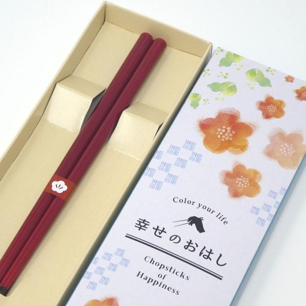 ̓ v[g ዷh   g̔(Ȃ̂₵) 23cm F H@Ή Mtg Yi