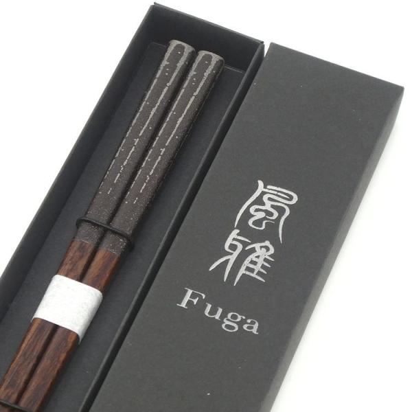  Zbg hV̓ v[g { H@Ή   蕨 j җ Ê  c c tooki(ƂЂ) 23cm