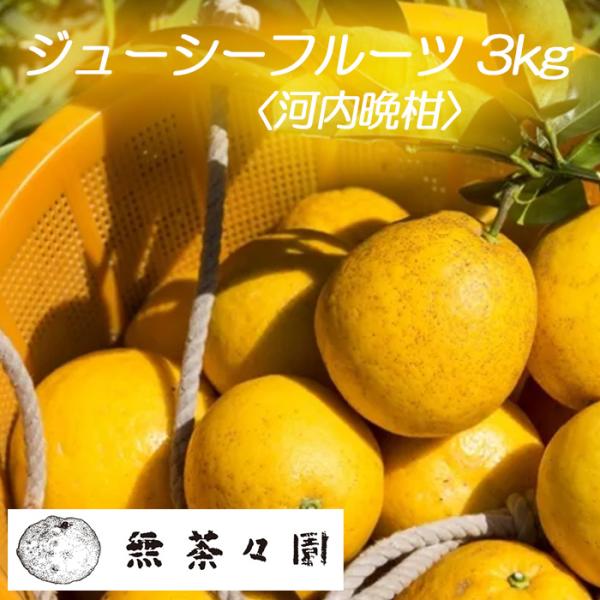 (株)地域法人無茶々園　ジューシーフルーツ（河内晩柑）3kg　≪日時指定不可≫
