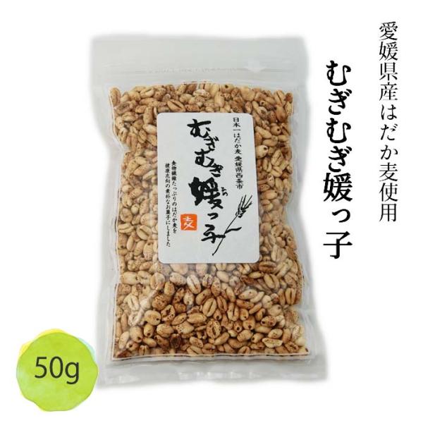 (株)藤田精麦　むぎむぎ媛っ子≪熨斗対応不可≫