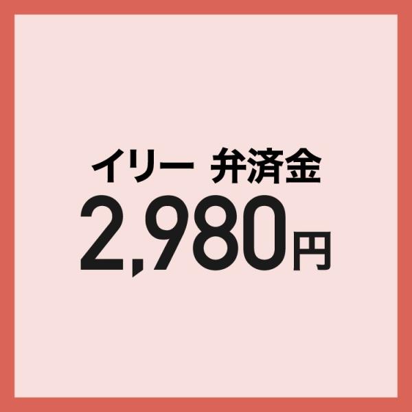 【弁済金】 再調達代金 翻訳機 ili本体