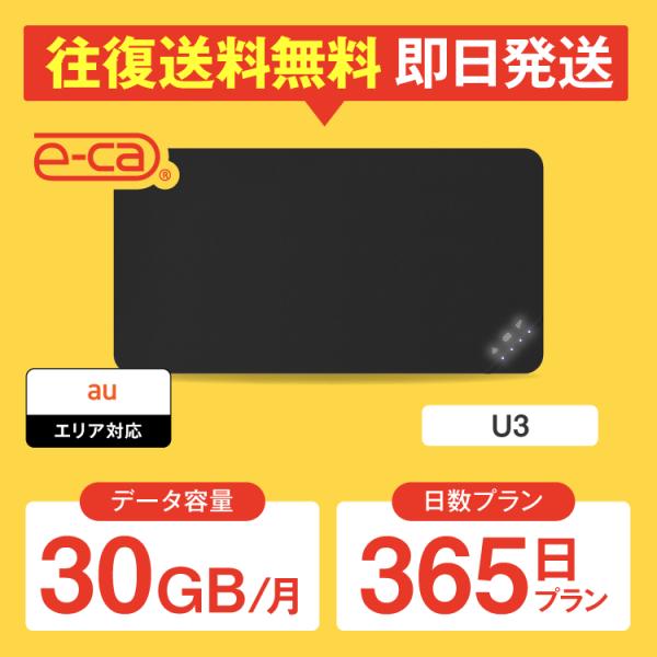 wifi レンタル 月間30GB 365日プラン 1年 ポケットwifi レンタルwifi wifi レンタル wi-fi au U3