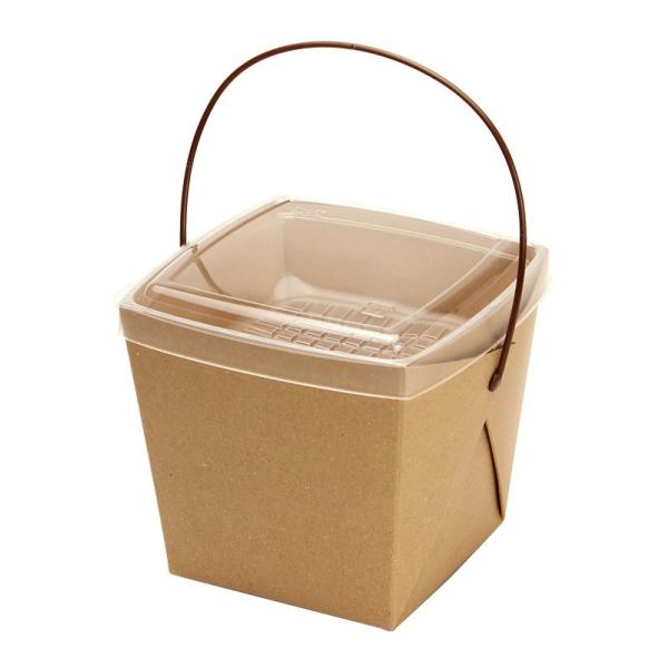 テイクアウト容器 取っ手付ランチボックス デリメイトTK125 カンゴウ