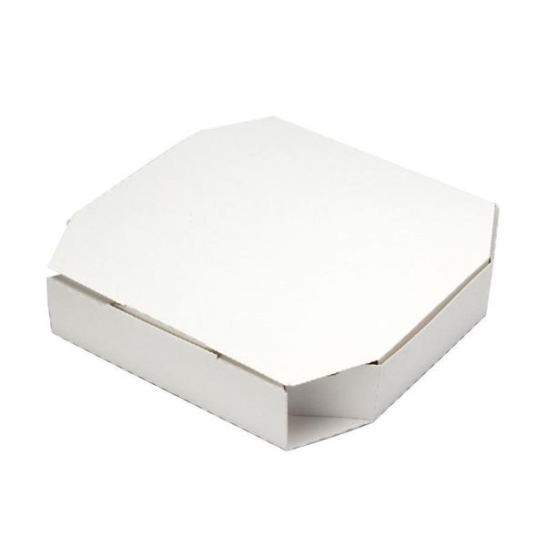 �e�C�N�A�E�g�p�s�U�e�� SP-1(21cm�p) 100��