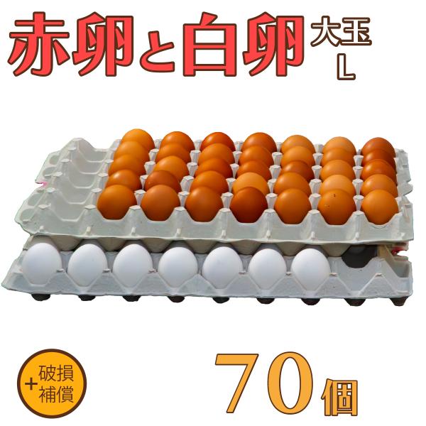 卵 たまご けいちゃんたまご 赤卵35個と白卵35個 Lサイズ 合計70個（約5Kg）+破損補償 送料無料 鶏卵 お得 九州産 お中元 お歳暮 破損補償入り