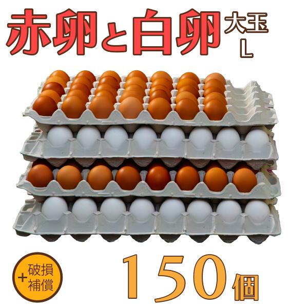 卵 たまご けいちゃんたまご 赤卵75個と白卵75個 Lサイズ 150個（約10Kg）+破損補償 送料無料 鶏卵 お得 九州産 お中元 お歳暮 破損補償入り