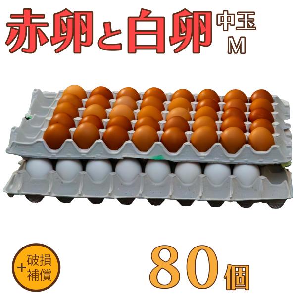卵 たまご けいちゃんたまご 赤卵40個と白卵40個 Mサイズ 合計80個（約5Kg）+破損補償 送料無料 鶏卵 お得 九州産 お中元 お歳暮 破損補償入り