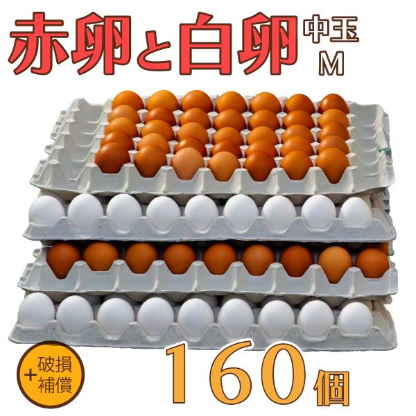 卵 たまご けいちゃんたまご 赤卵80個と白卵80個 Mサイズ 合計160個（約10Kg）+破損補償 送料無料 鶏卵 お得 九州産 お中元 お歳暮 破損補償入り