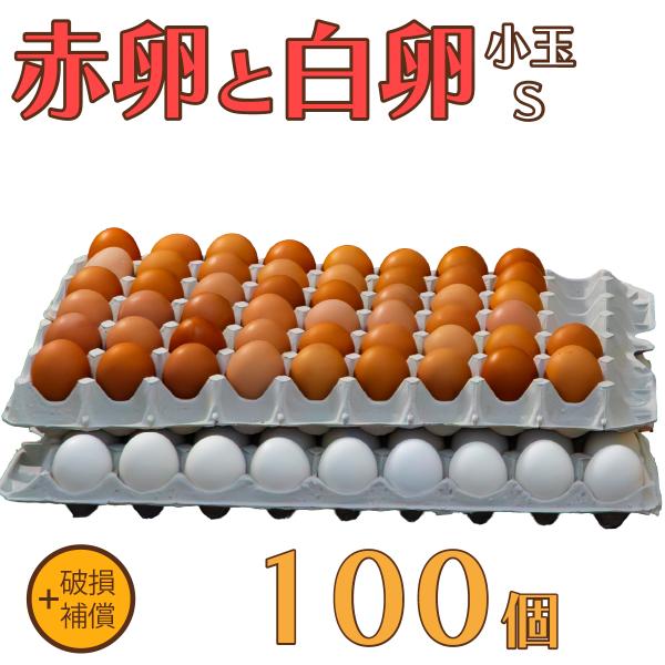 卵 たまご けいちゃんたまご 赤卵50個と白卵50個 Sサイズ 合計100個（約5Kg）+破損補償 送料無料 鶏卵 お得 九州産 お中元 お歳暮 破損補償入り 初産み卵