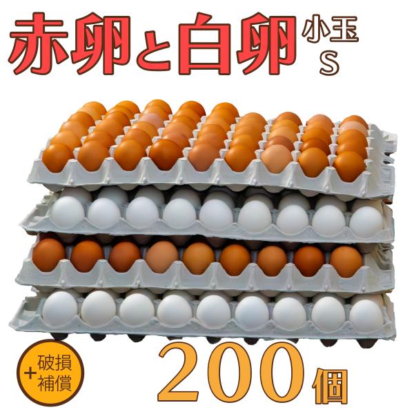 卵 たまご けいちゃんたまご 赤卵100個と白卵100個 Sサイズ 合計200個（約10Kg）+破損補償 送料無料 鶏卵 お得 九州産 お中元 お歳暮 破損補償入り 初産み卵