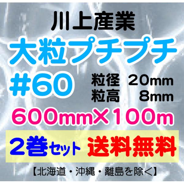 川上産業 直送〕川上産業 d60 600mm×100m巻 2巻セット 大粒 川上産業 直送〕川上産業 d60 600mm×100m巻 2巻セット 大粒