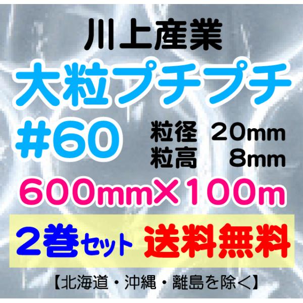 川上産業 直送〕川上産業 ｄ60 600mm×100m巻 2巻セット 大粒 エア