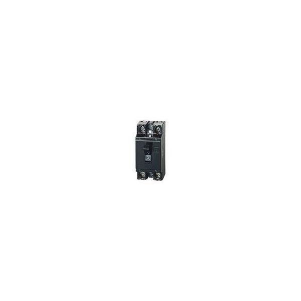 BS1112 パナソニック 安全ブレーカ HB型 2P1E 20A