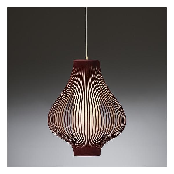 e-connect_endo-xp1065r