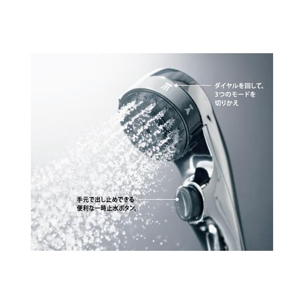 Panasonic（パナソニック） RLXZS306TZZ 新W節水シャワーヘッド(減圧