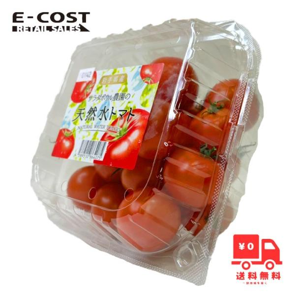 トマト 小林種苗 ミニトマト種子アップルベリー＊種子有効期限2025年11