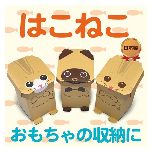 はこねこ３匹セット