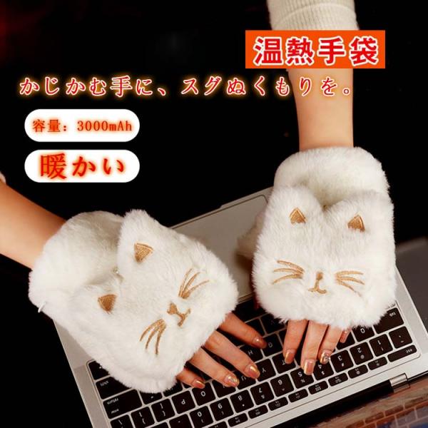 寒い冬、かじかむ手がなかなか暖まらず冷たい。。でもPCを前に手袋はできない。。※※商品詳細※※バッテリー容量：3000mAh，約6~8時間持続的に使用可能機能：3段階の温度設定サイズ：フリーサイズ適用範囲：男性,女性手洗可能：本体を取り外し...