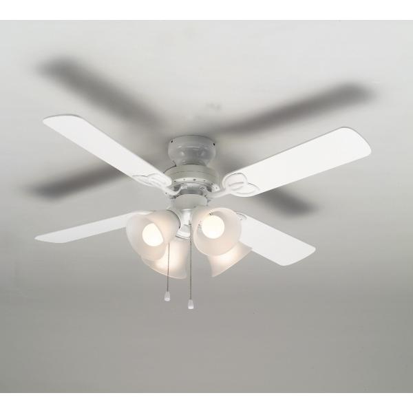 �y�@�l�l����z�V�[�����O�t�@���@TKM-42WW4LKEFZ�@ �d���^�u����60�`×4���@���|�V�[�����O�����@�������^��