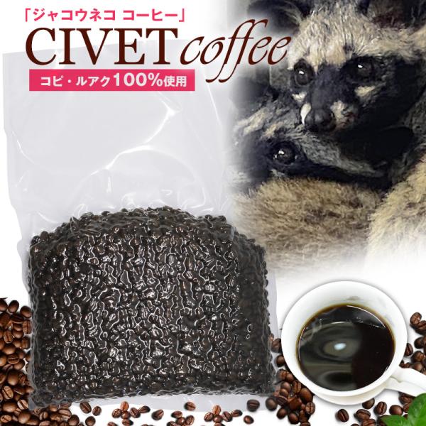 ③【ネコ生豆原価16000円】1kg シベットキャット　インドのコピルワック e-do-net_coffee-3